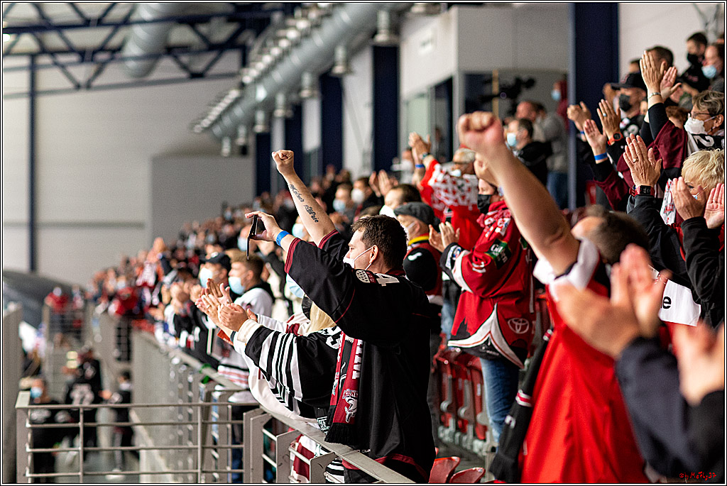 PENNY DEL;  Koelner Haie - Adler Mannheim; Koeln, 19.08.2021